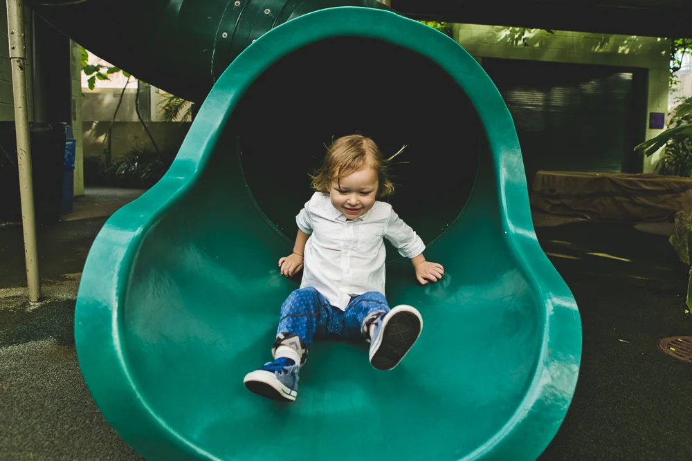 Chicago Family Photographers_Garfield Park Conservaotry_JPP Studios_Rouse_11.JPG