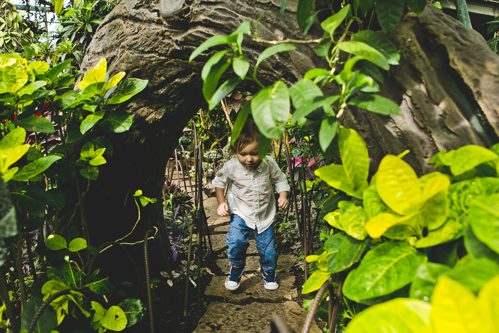Chicago Family Photographers_Garfield Park Conservaotry_JPP Studios_Rouse_14.JPG