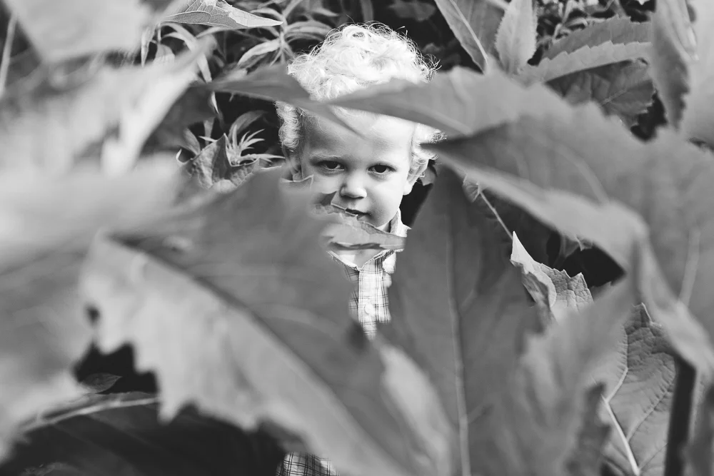 Chicago Family Photographers_Lincoln Park Zoo_South Pond_Kobe_10.JPG
