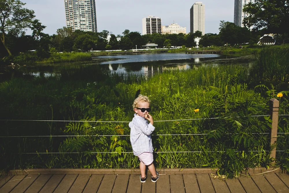 Chicago Family Photographers_Lincoln Park Zoo_South Pond_Kobe_11.JPG