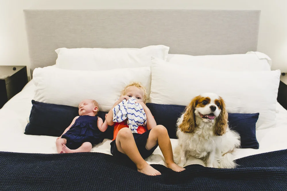 Chicago Family Newborn Photographers_JPP Studios_Kobe 2018_22.JPG