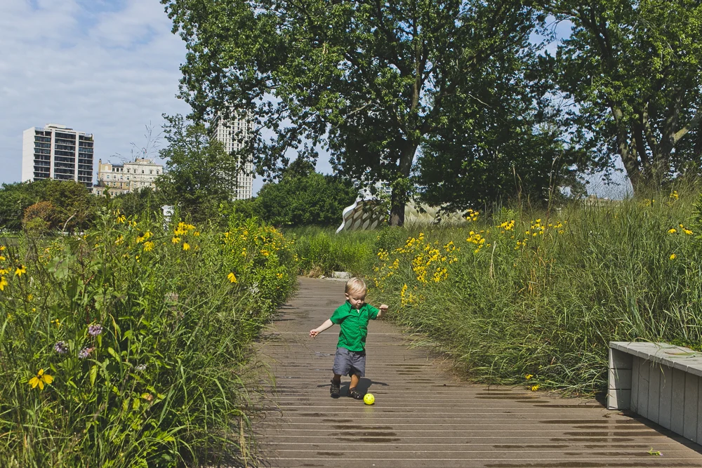 Chicago Family Photographers_Lincoln Park_Zoo_JPP Studios_T_14.JPG