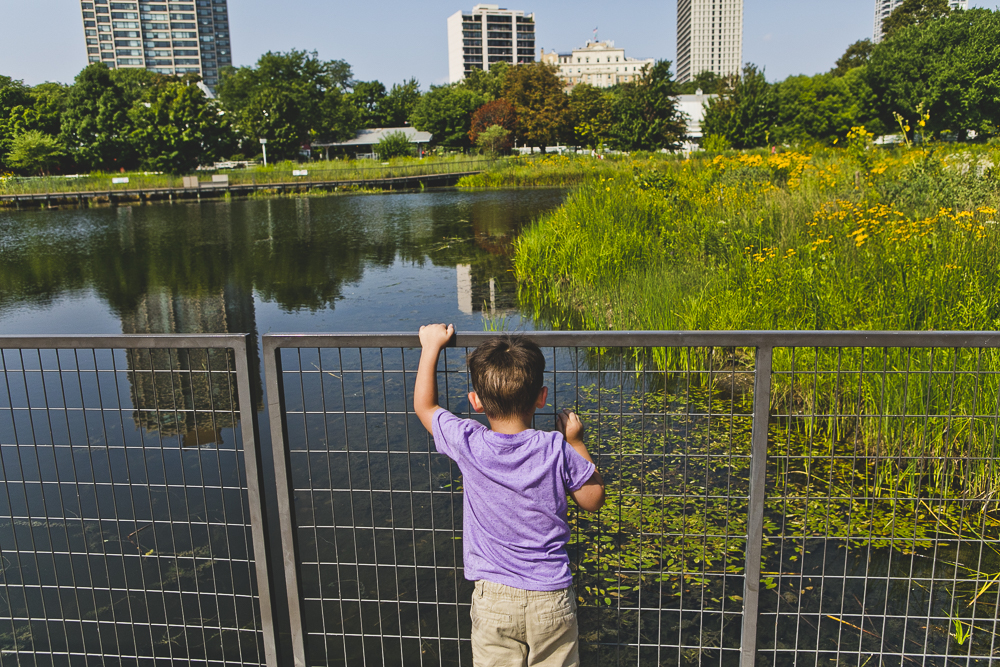 Chicago Family Photographers_Lincoln Park_South Pond_JPP Studios_V_19.JPG