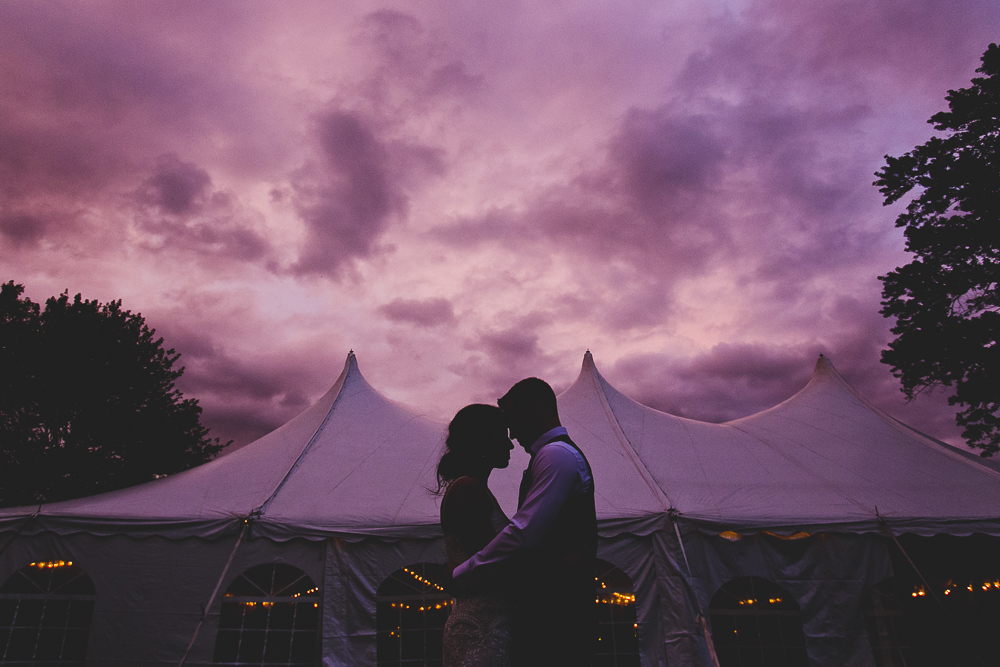 LeRoy Oakes Forest Preserve Wedding - Sierra &amp; Danny
