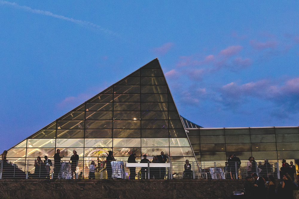 Chicago Wedding Photographers_Adler Planetarium_JPP Studios_RS_048.JPG
