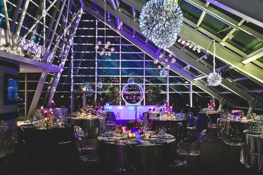 Chicago Wedding Photographers_Adler Planetarium_JPP Studios_RS_055.JPG