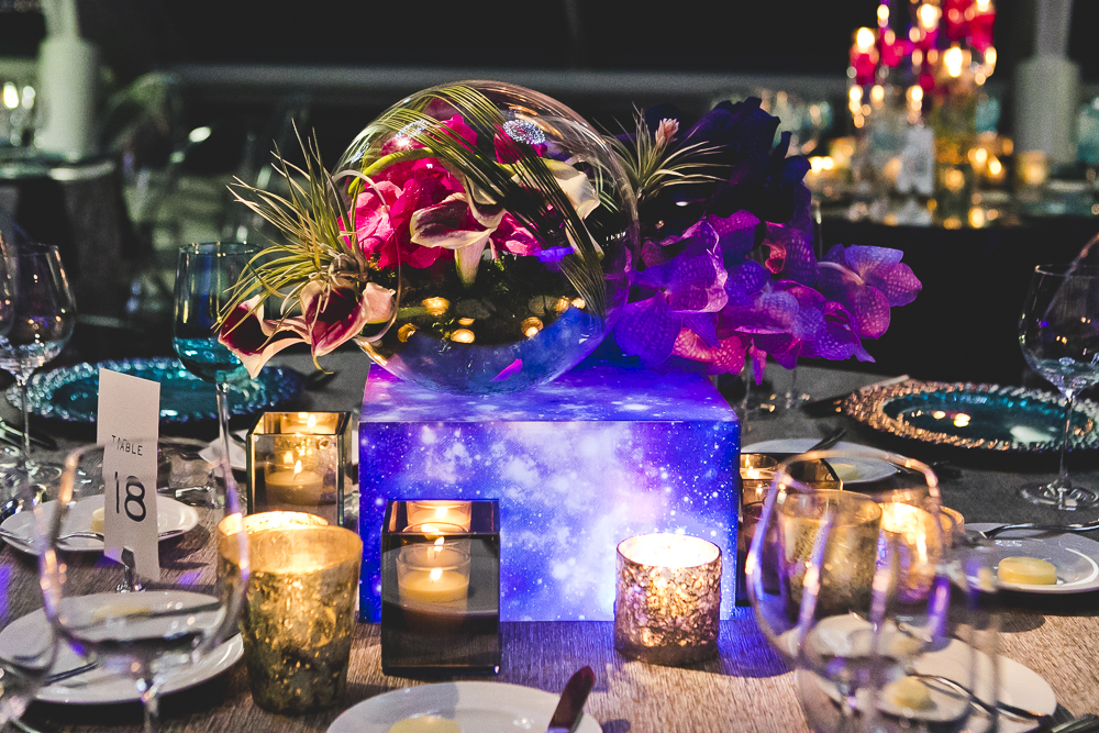 Chicago Wedding Photographers_Adler Planetarium_JPP Studios_RS_056.JPG