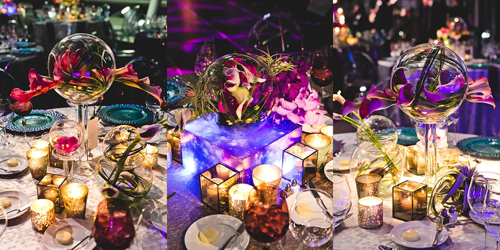 Chicago Wedding Photographers_Adler Planetarium_JPP Studios_RS_057.JPG