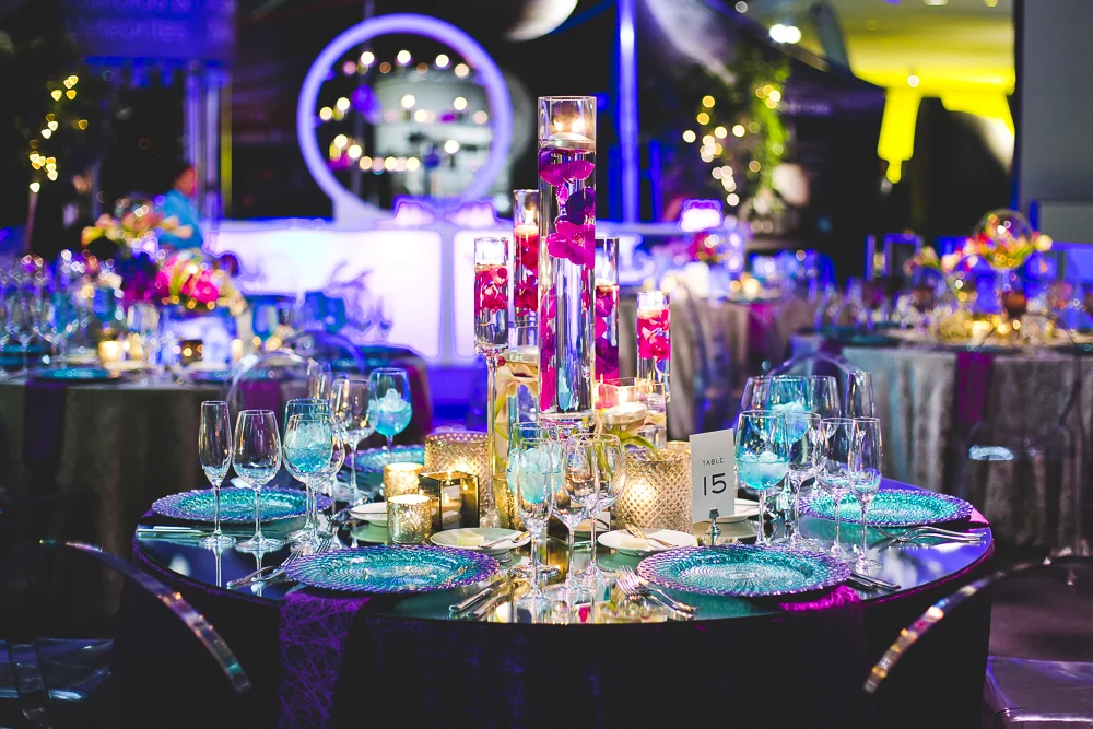Chicago Wedding Photographers_Adler Planetarium_JPP Studios_RS_058.JPG