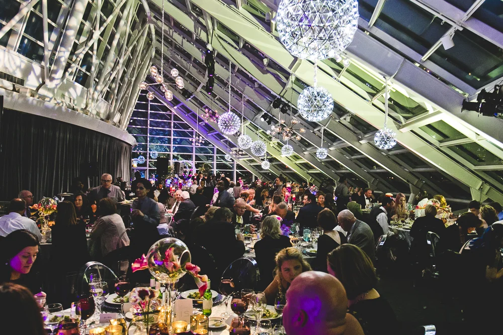 Chicago Wedding Photographers_Adler Planetarium_JPP Studios_RS_067.JPG