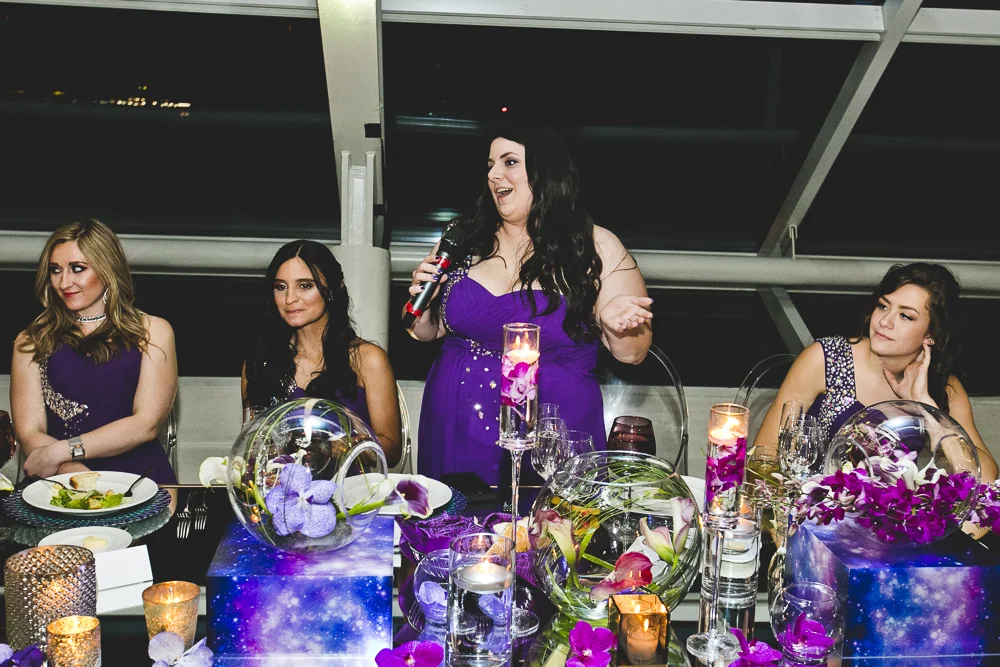 Chicago Wedding Photographers_Adler Planetarium_JPP Studios_RS_070.JPG