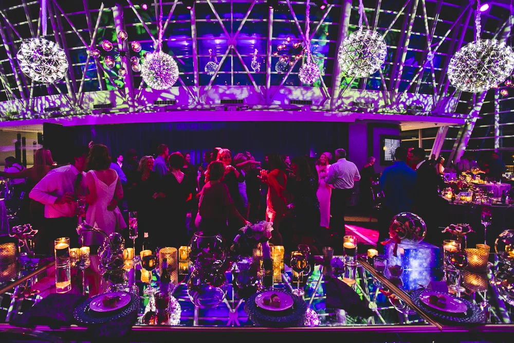 Chicago Wedding Photographers_Adler Planetarium_JPP Studios_RS_106.JPG