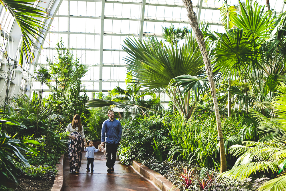 Chicago Family Photographers_Garfield Park Conservatory_JPP Studios_S_05.JPG