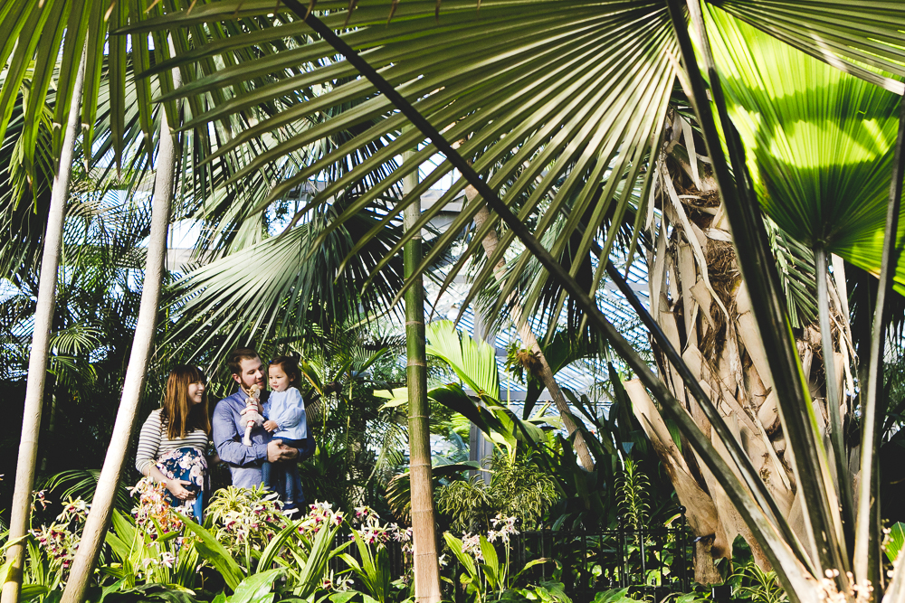 Chicago Family Photographers_Garfield Park Conservatory_JPP Studios_S_19.JPG