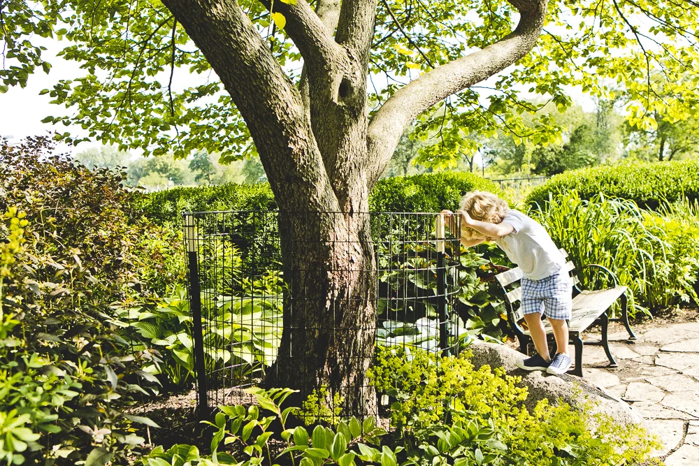 Chicago Family Photographers_Lincoln Park_JPP Studios_K_17.JPG