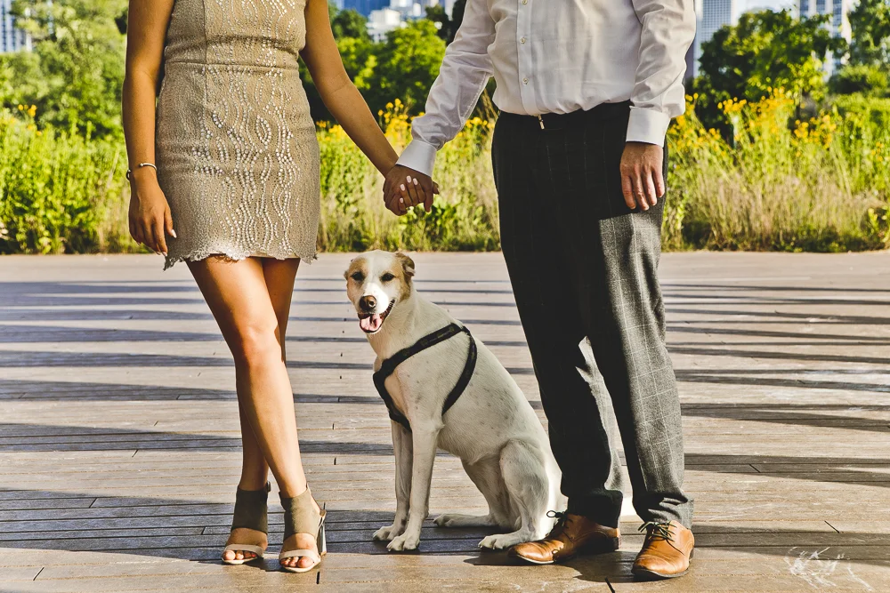 Chicago Engagement Photographers_JPP Studios_Lincoln Park_CT_10.JPG