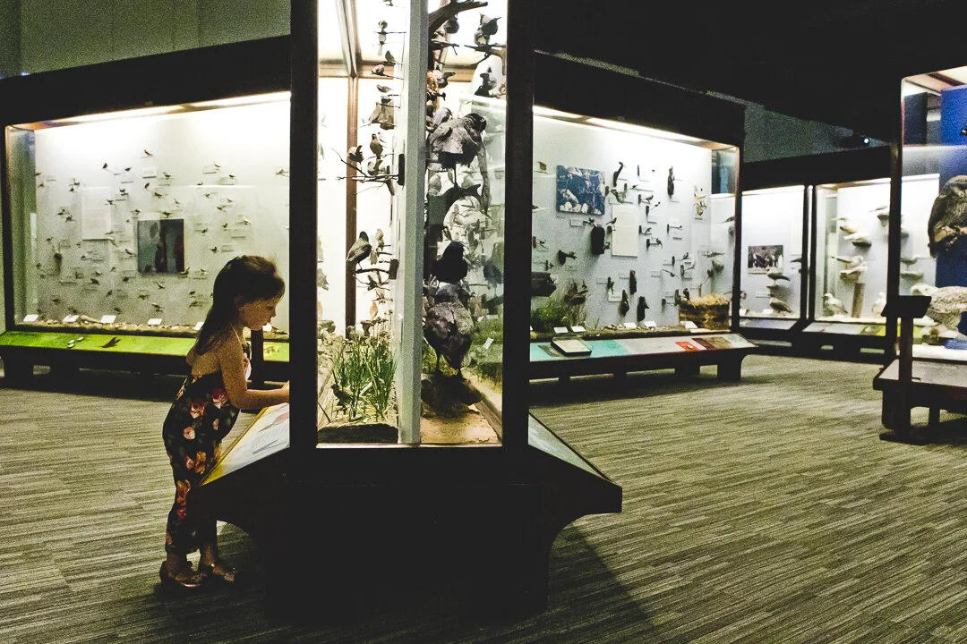 Chicago Family Photographers_Field Museum_JPP Studios_S_27.JPG