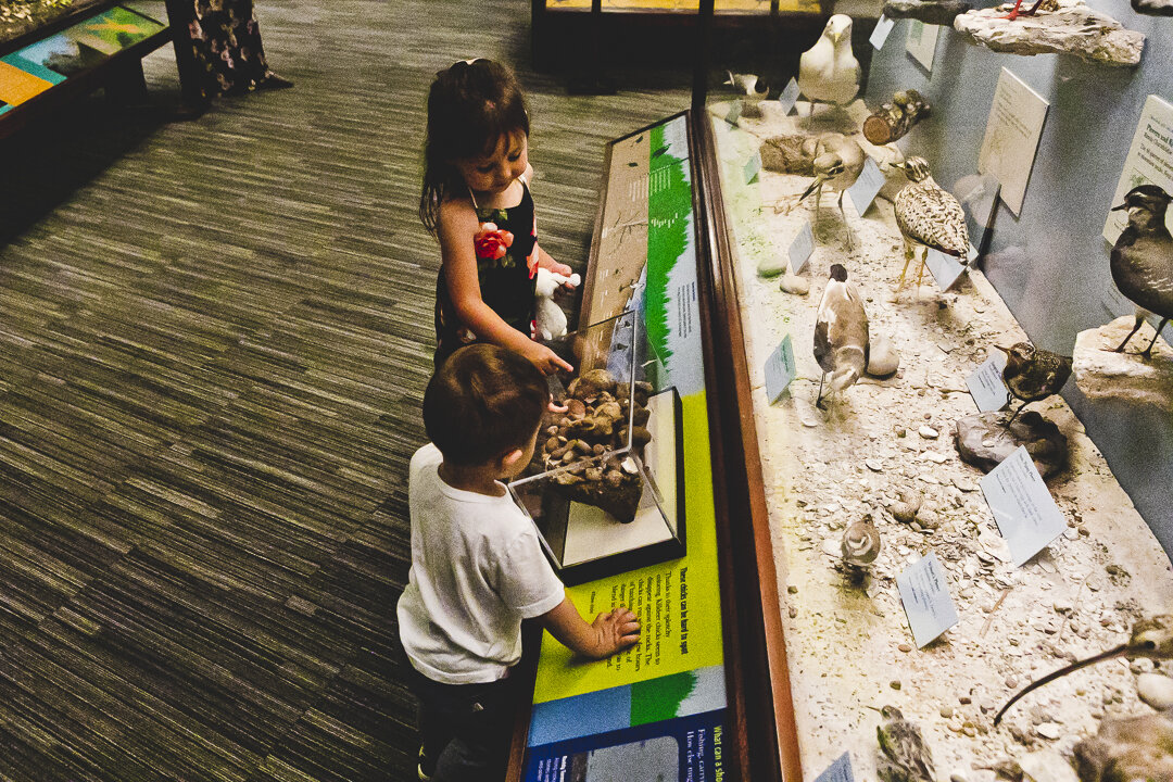 Chicago Family Photographers_Field Museum_JPP Studios_S_29.JPG