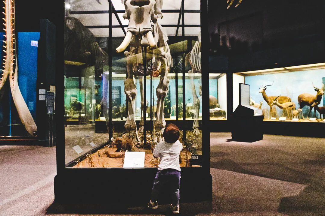 Chicago Family Photographers_Field Museum_JPP Studios_S_31.JPG