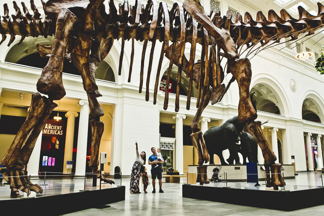 Field Museum Family Session - The Swartz's