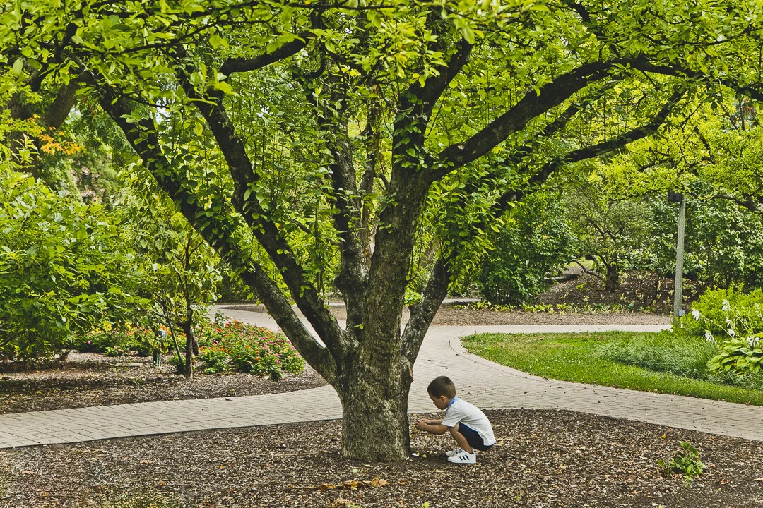 Lombard Family Photographers_Lilicia Park_JPP Studios_B_26.JPG
