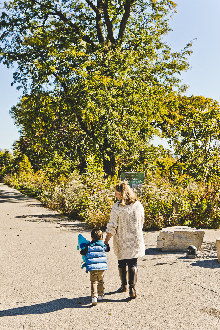 Chicago Family Photographers_Lincoln Park_JPP Studios_Y_09.JPG