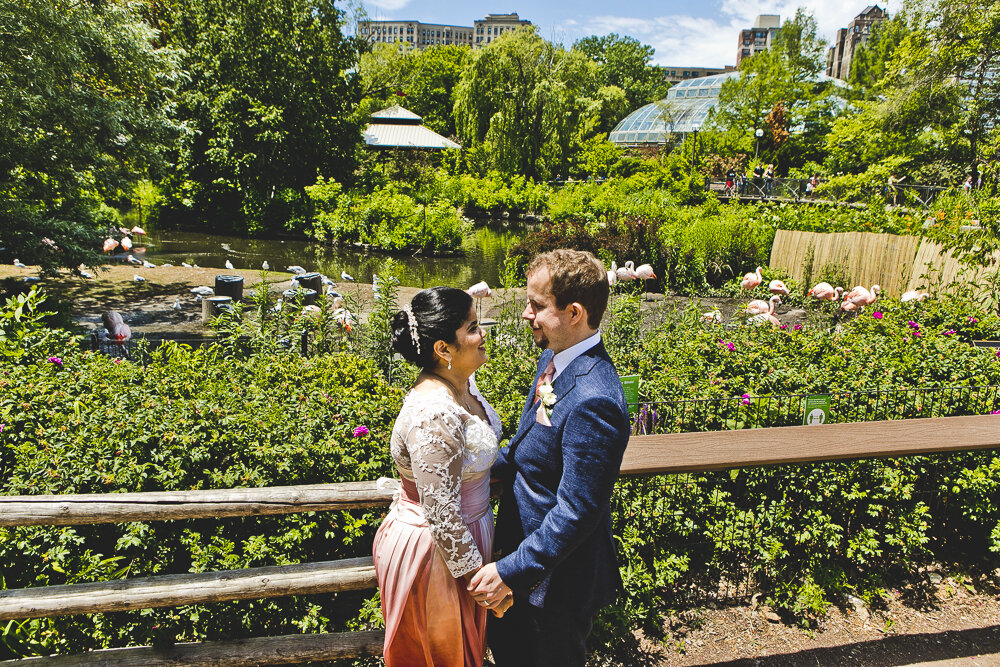 Chicago Wedding Photographers_Lincoln Park Zoo_JPP Studios_UC_40.JPG