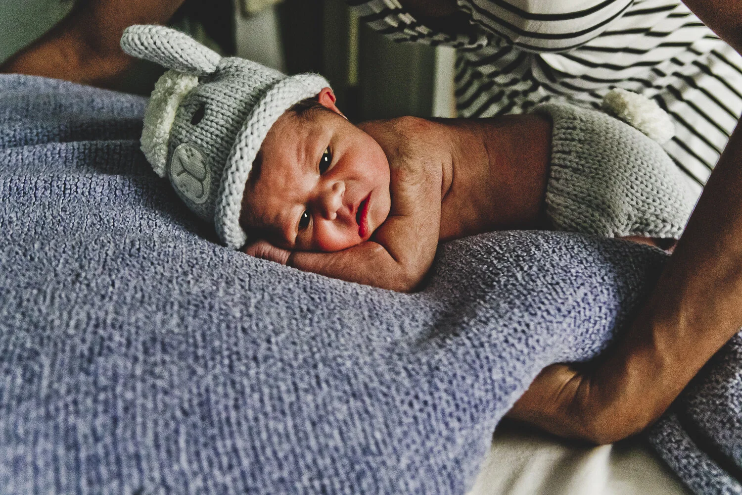 Chicago Family Photographers_At Home_JPP Studios_Homyak_05.JPG