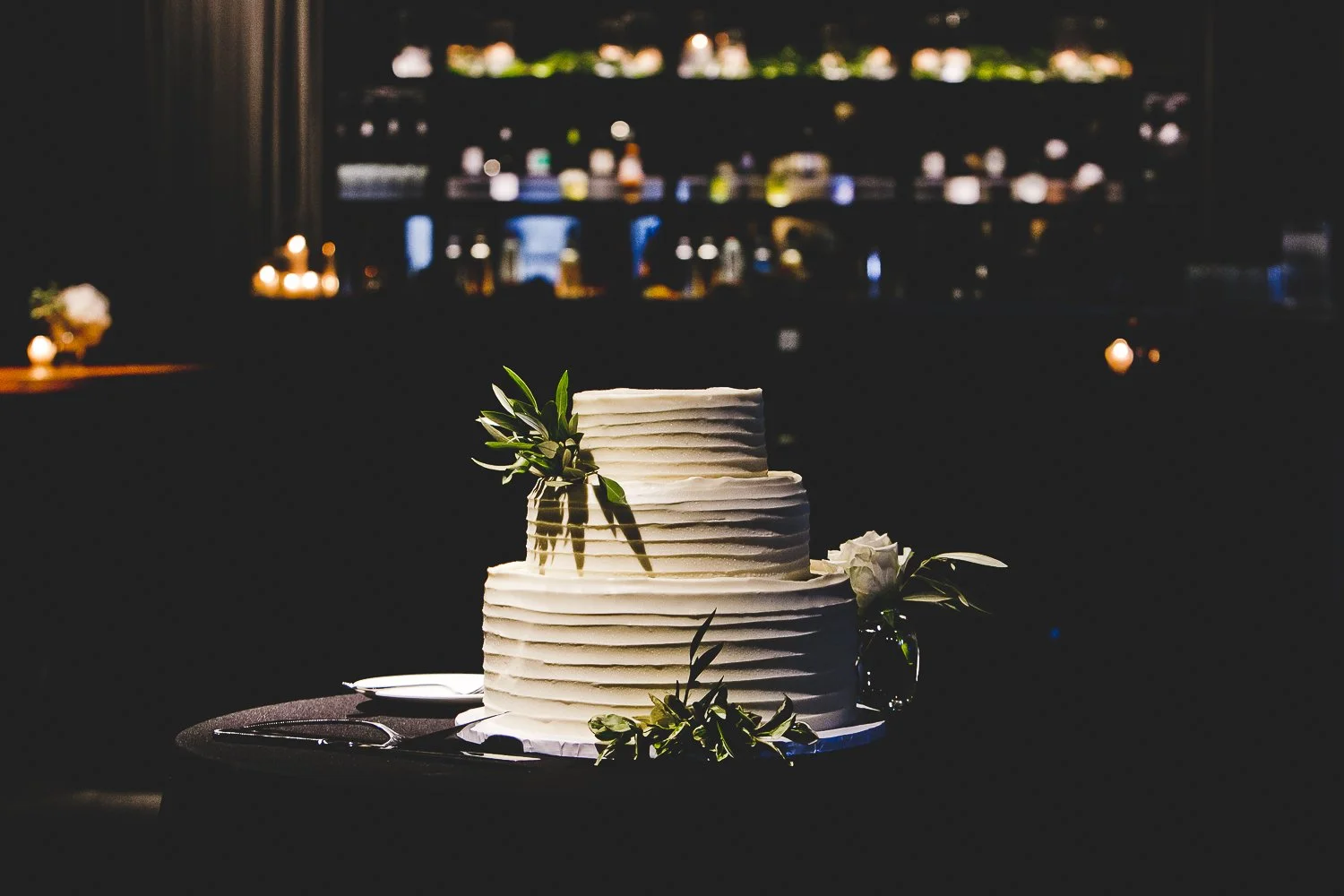 Chicago Wedding Photographers_The Dalcy_JPP Studios_VC_063.JPG