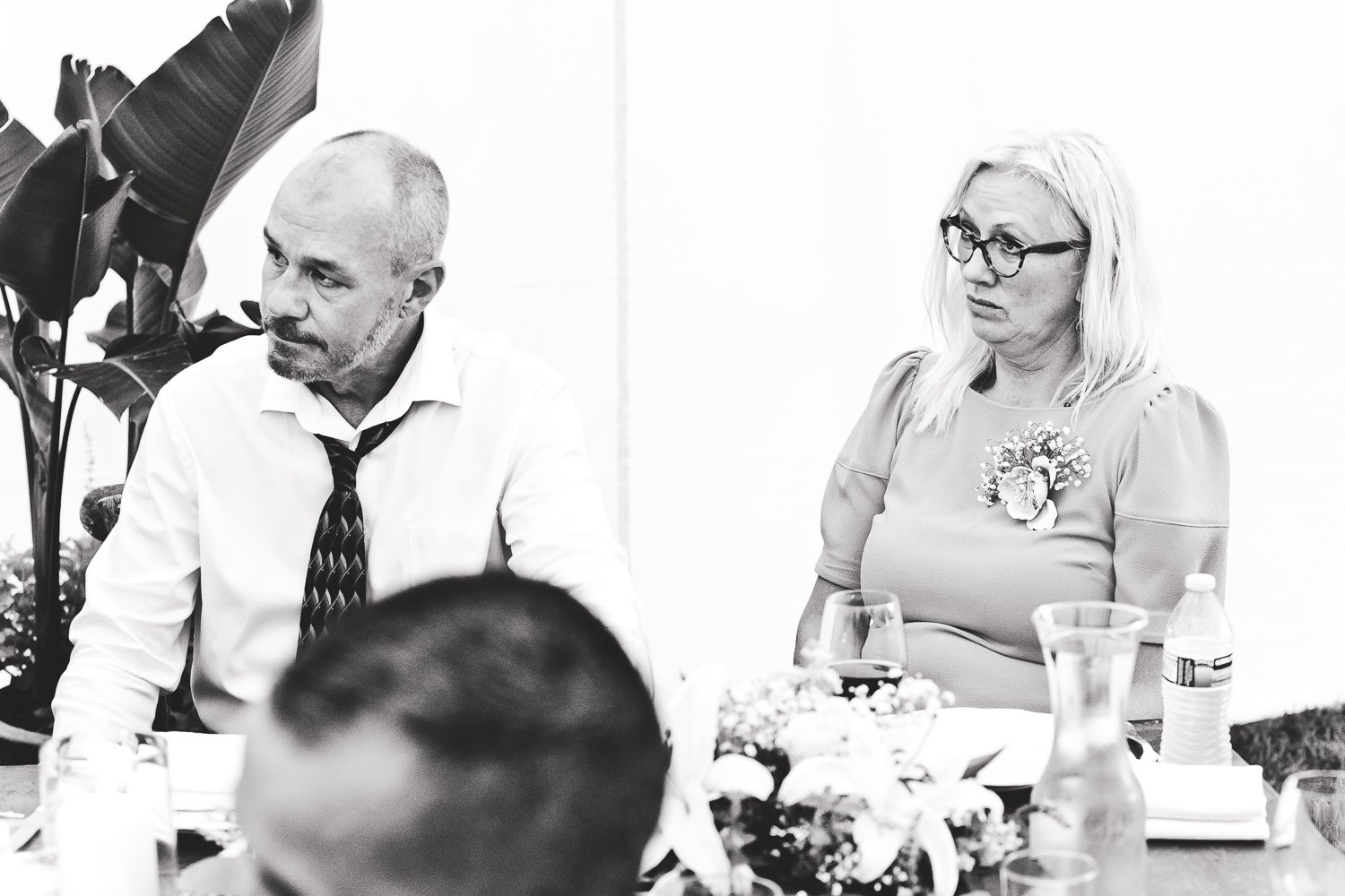 Chicago Wedding Photographers_JPP Studios_AI_093.JPG
