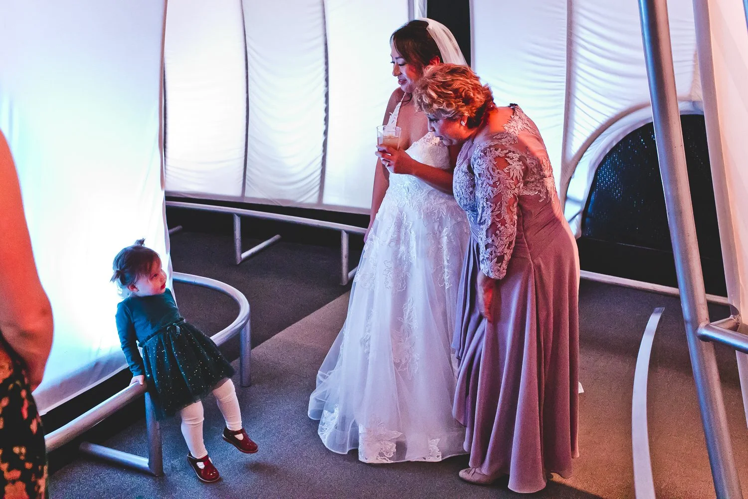 Chicago Wedding Photographers_Adler Planetarium_JPP Studios_LA_043.JPG