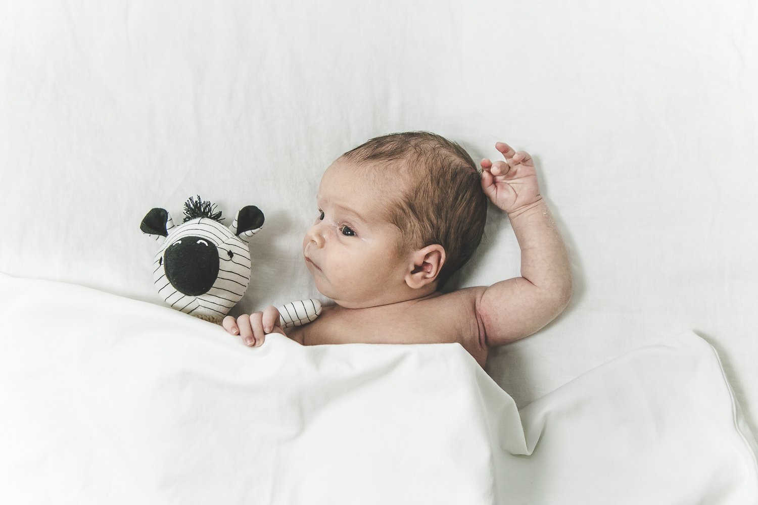 Chicago Newborn Session_JPP Studios_R_20.JPG