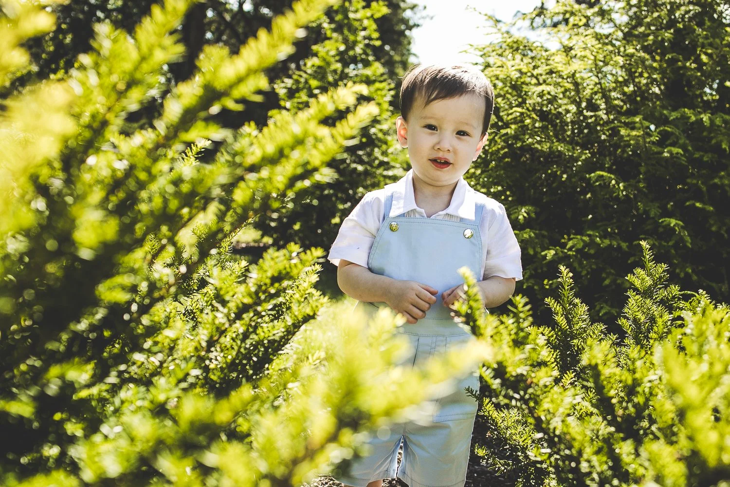 Chicago Family Photographers_Morton Arboretum_JPP Studios_Swartz_16.JPG