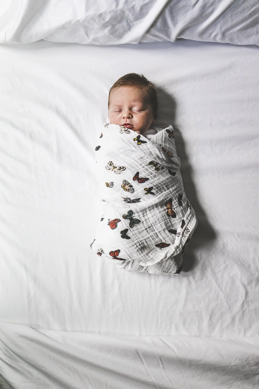Chicago Family Session_JPP Studios_R_32.JPG