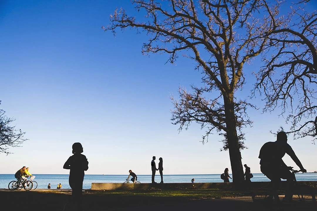 Chicago Engagement Photographers_08.JPG