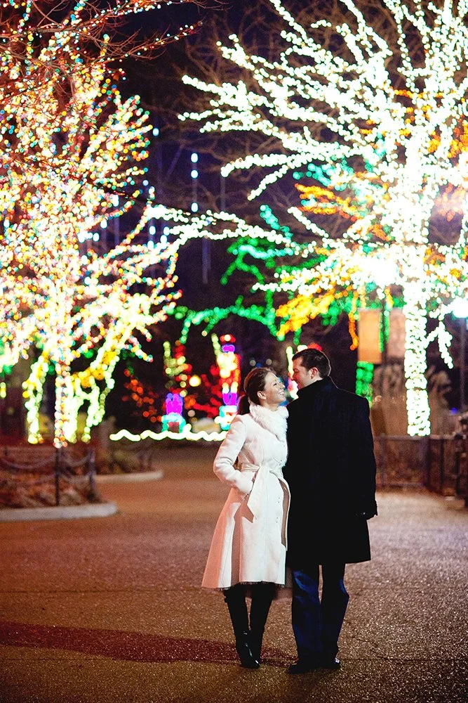 Chicago Engagement Photographers_80.JPG