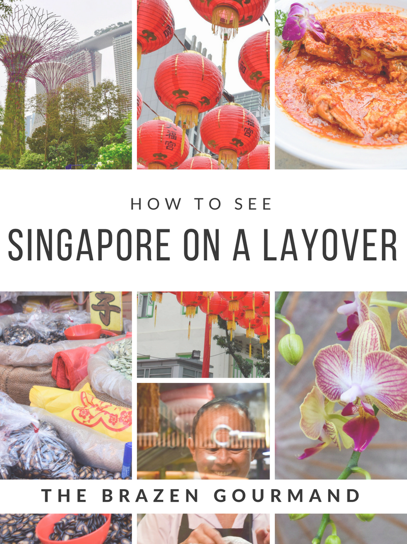 How to See Singapore On A Layover