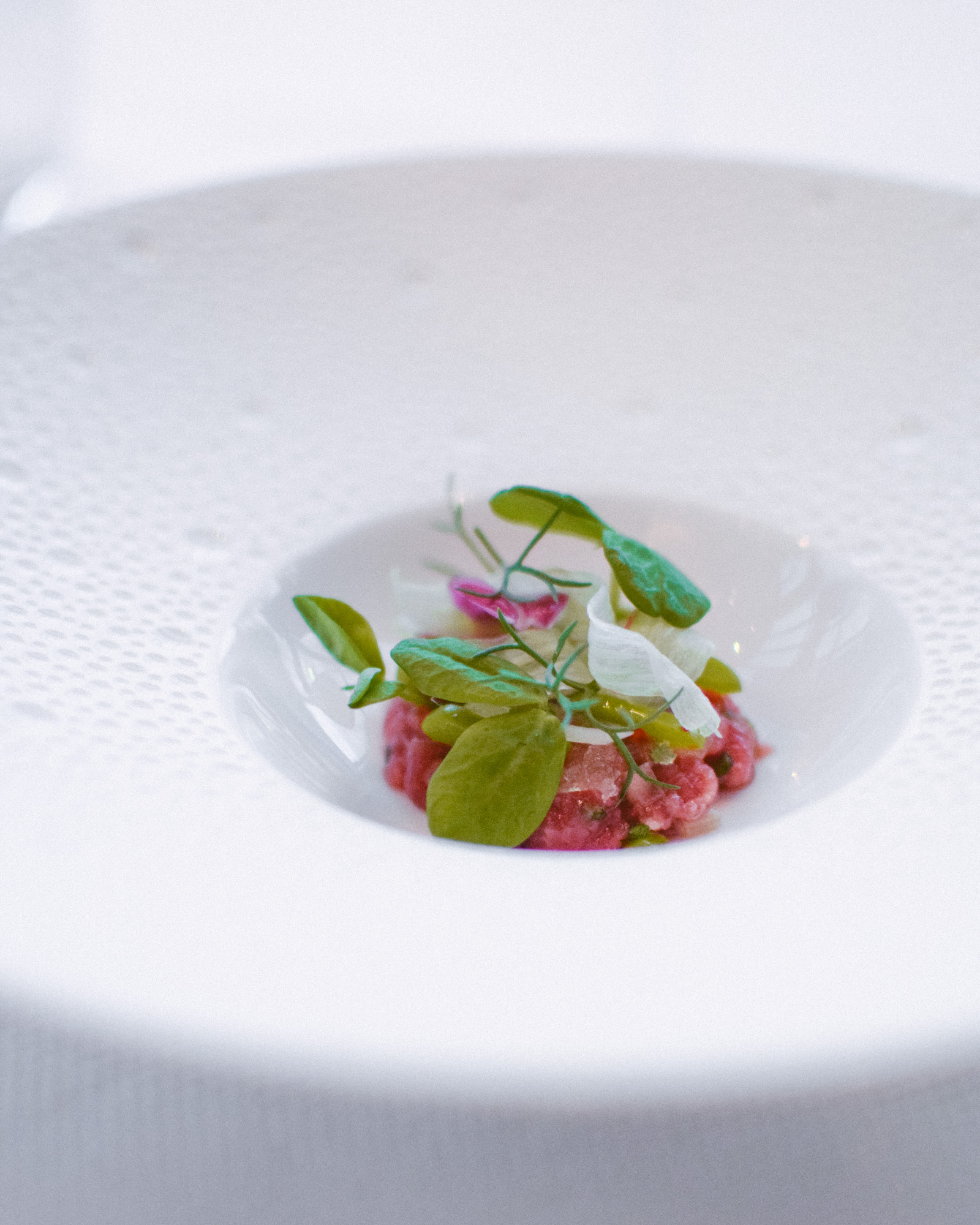 Second Course: Lamb Tartare, Fava Tendril, Chamomile