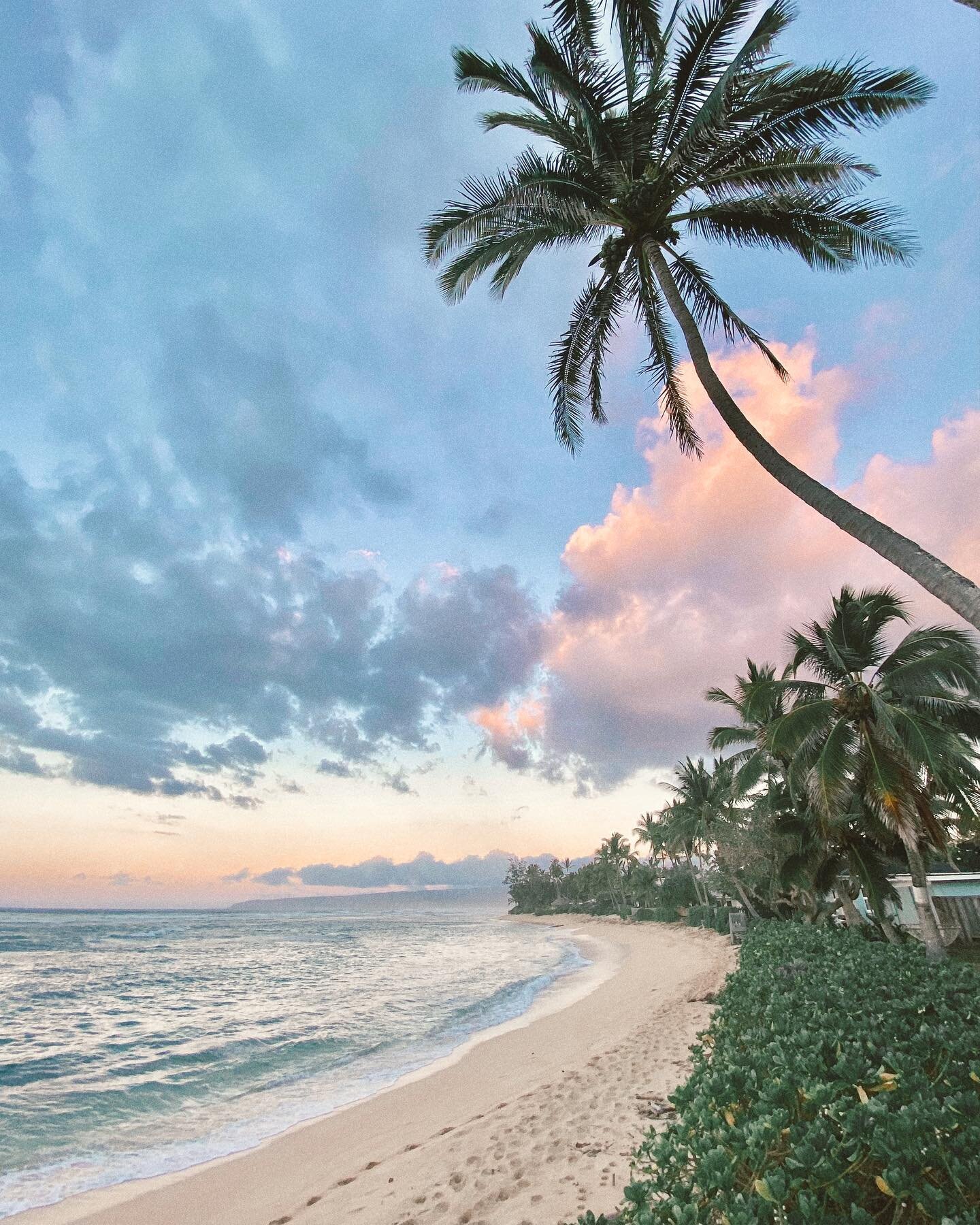 Too beautiful for words 🌴 #Oahu #NorthShore #Hawaii