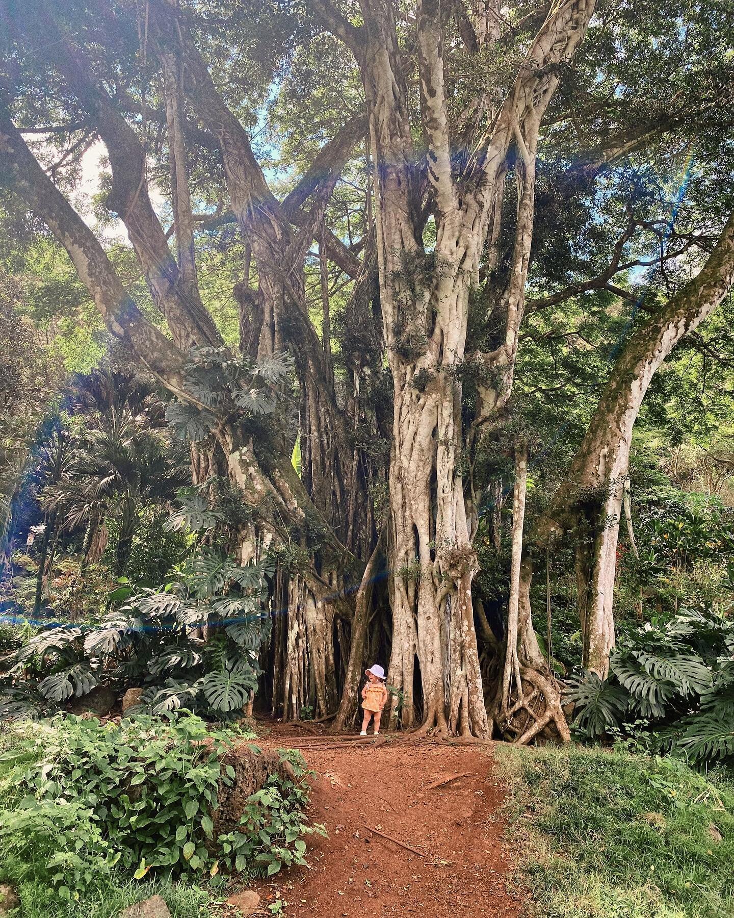 Olivia June does Hawaii 🌈