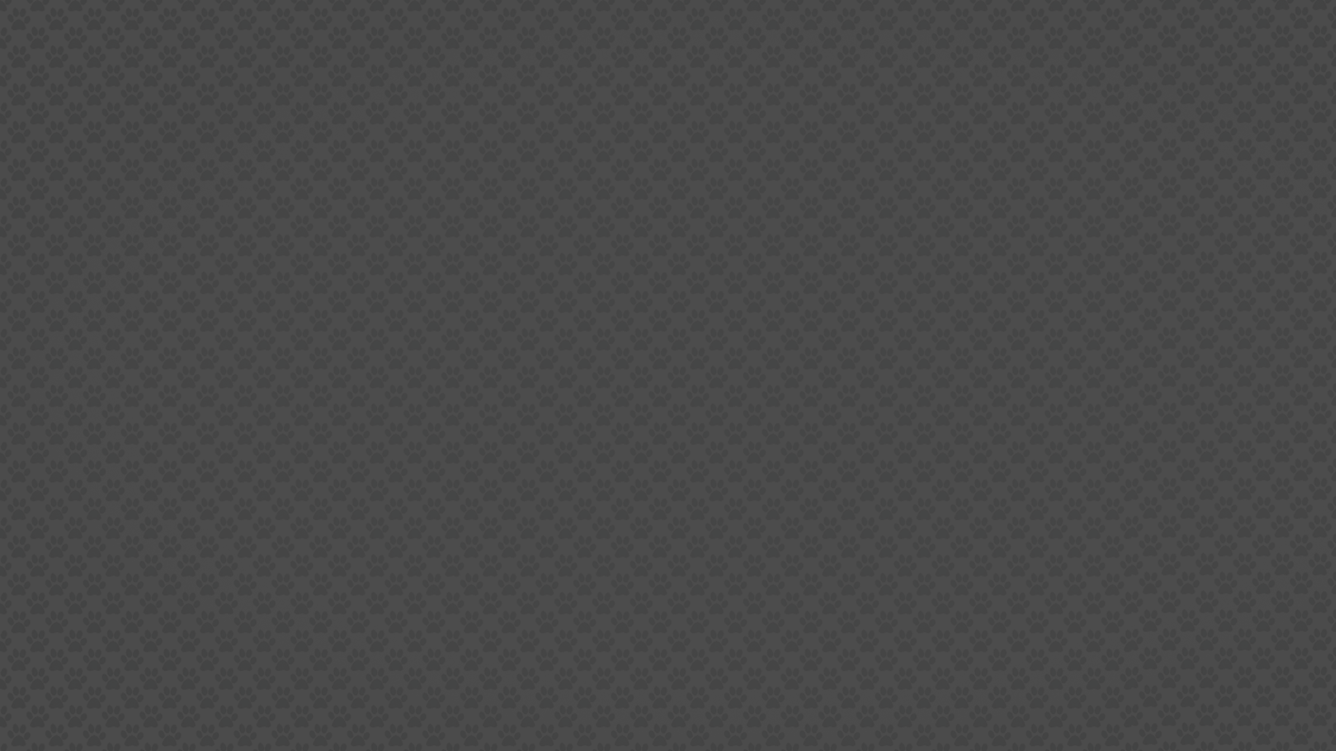 paws1920darkgrey.png