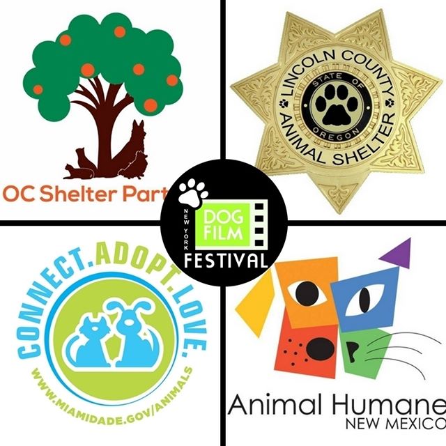 We're in CA, OR, NM and FL this weekend in support of @ocshelterpartners, Lincoln County Animal Shelter, @miamianimalserv and @animalhumanenm. Click the link in our bio and go to DESTINATIONS for more info.

#DogFilmFestival #Adoptdontshop #rescuedog