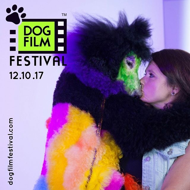 Take a look inside the world of creative competitive dog grooming in Rebecca Stern's documentary, &quot;Well Groomed&quot; as part of the 3rd Annual NY Dog Film Festival on 12/10. Info &amp; tix at www.dogfilmfestival.com