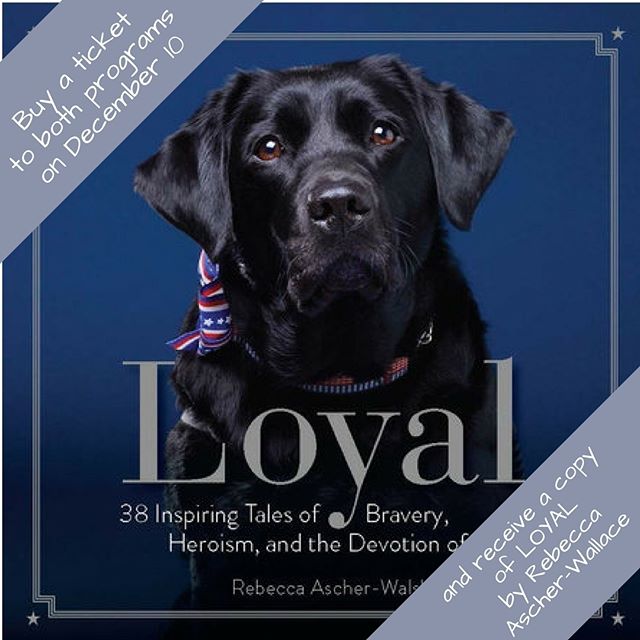 The 3rd Annual NY Dog Film Festival is December 10th. Buy a ticket to both programs before Sunday, November 26th and get a copy LOYAL by Rebecca Ascher-Walsh. Purchase tickets at www.dogfilmfestival.com