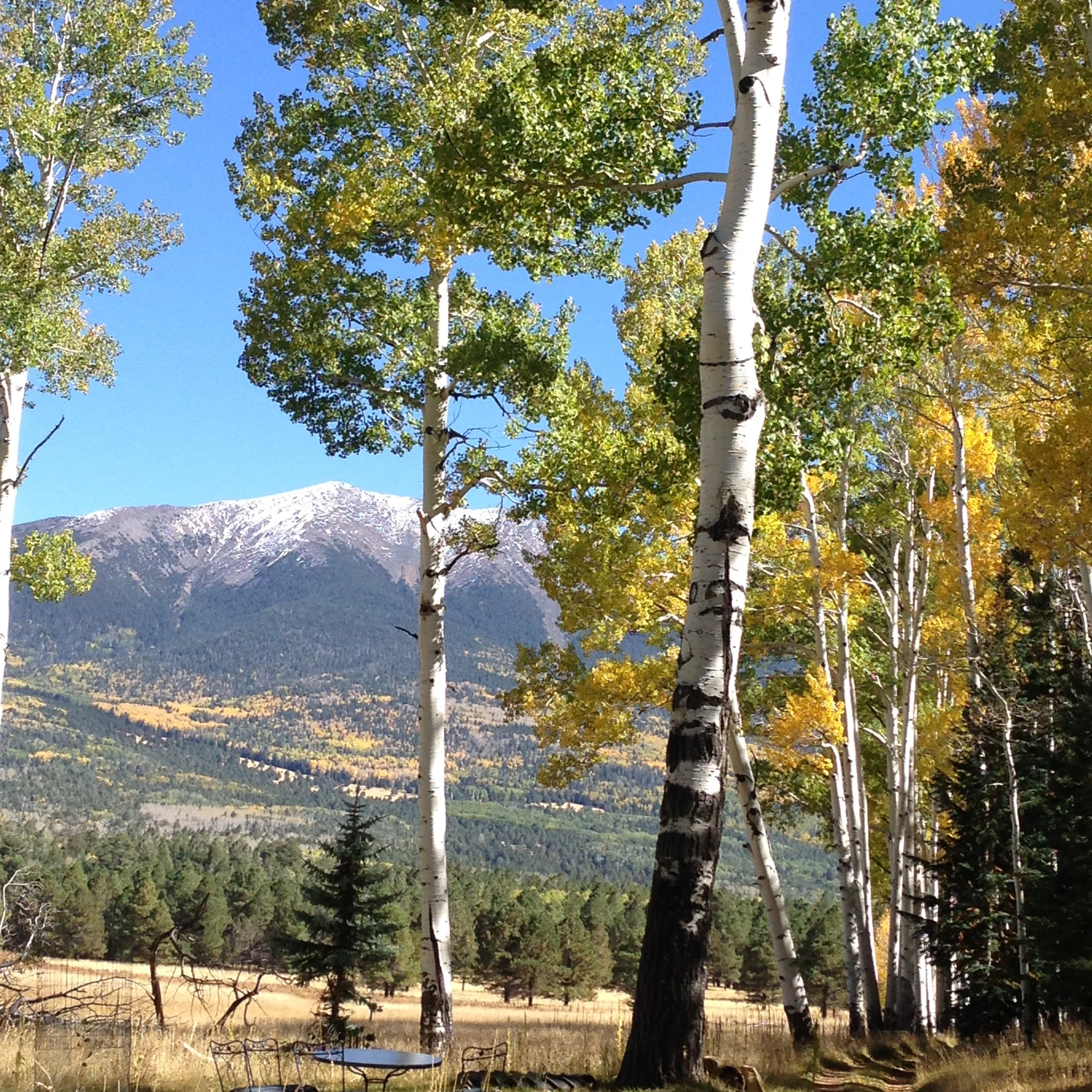 The old homestead cabin 2015; just as the aspens are changing color. Winter is on it's way.
