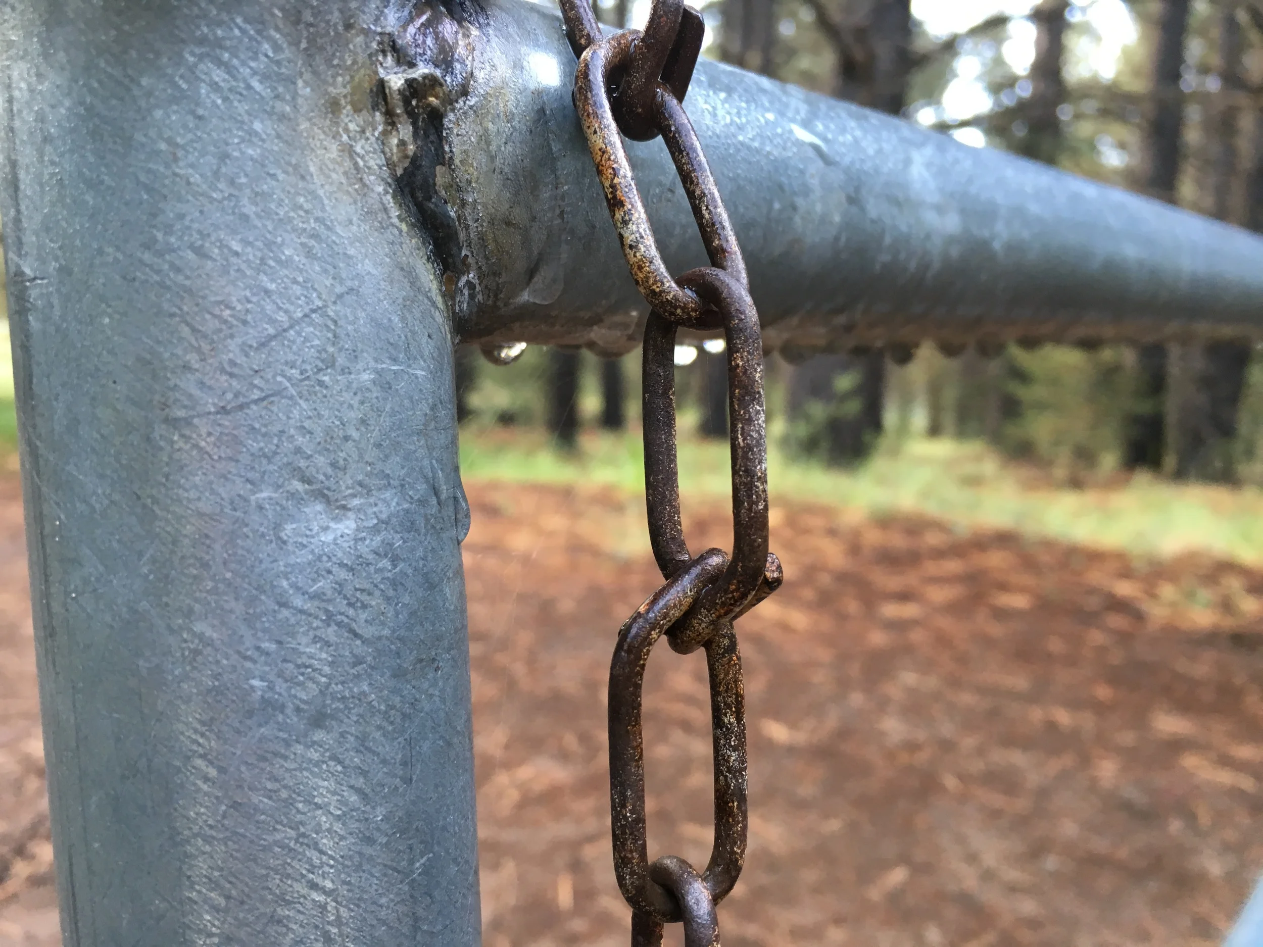 Rain hanging on the fence