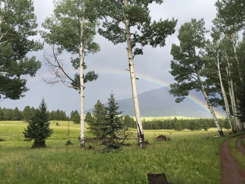 The monsoons are here; raining most every day.