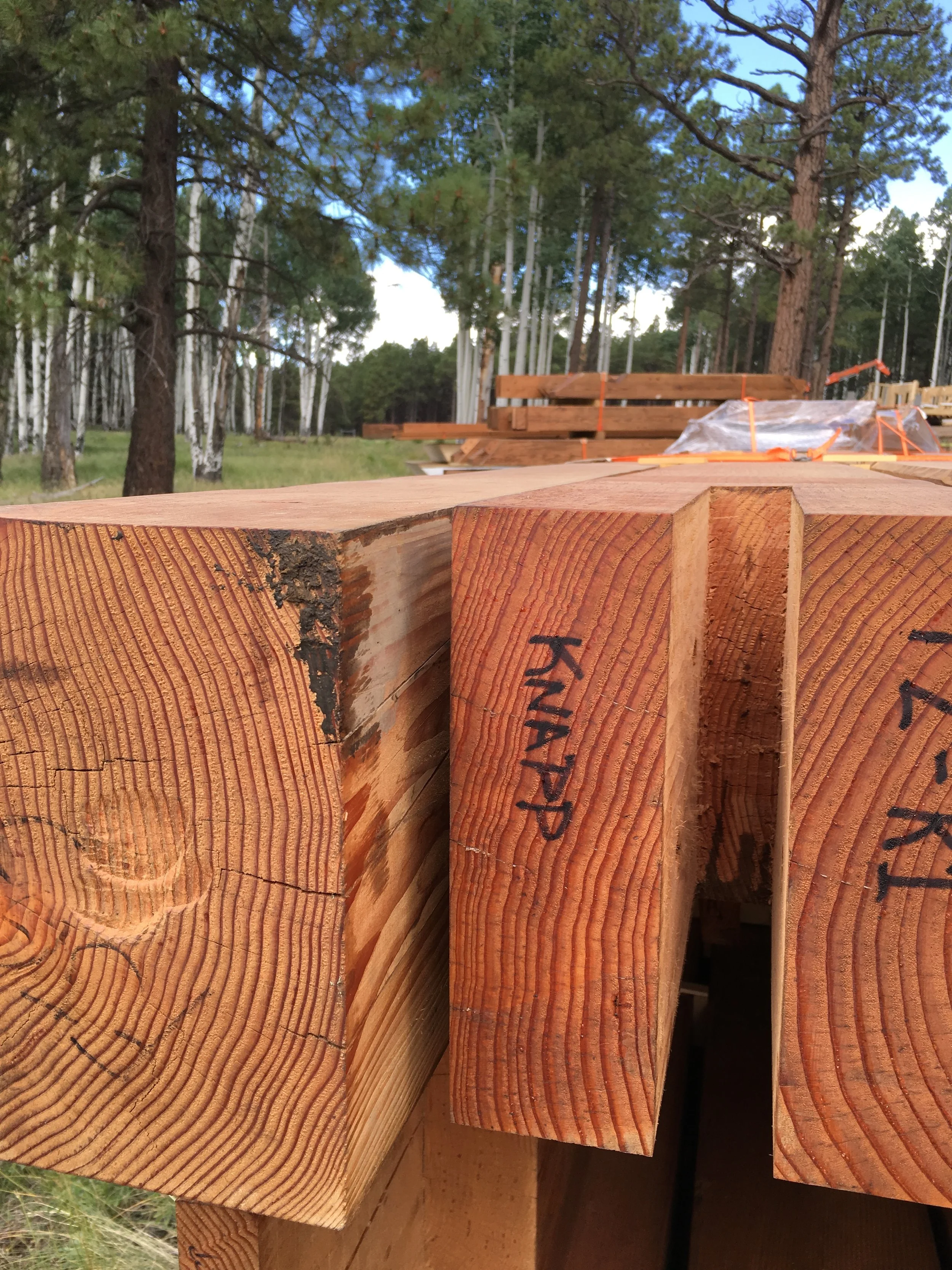 Our timbers came all the way from New York 