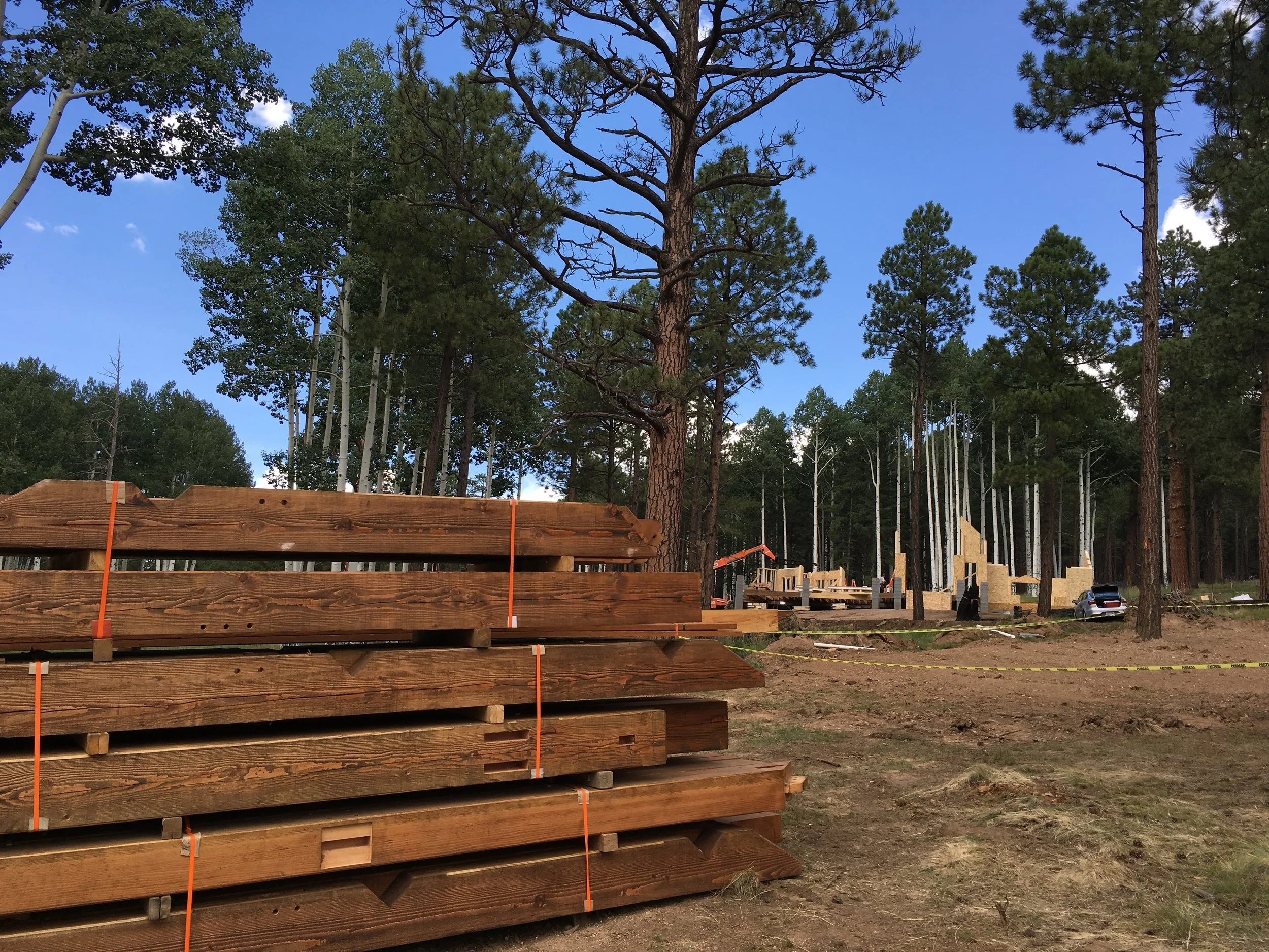 Beautiful Timbers!