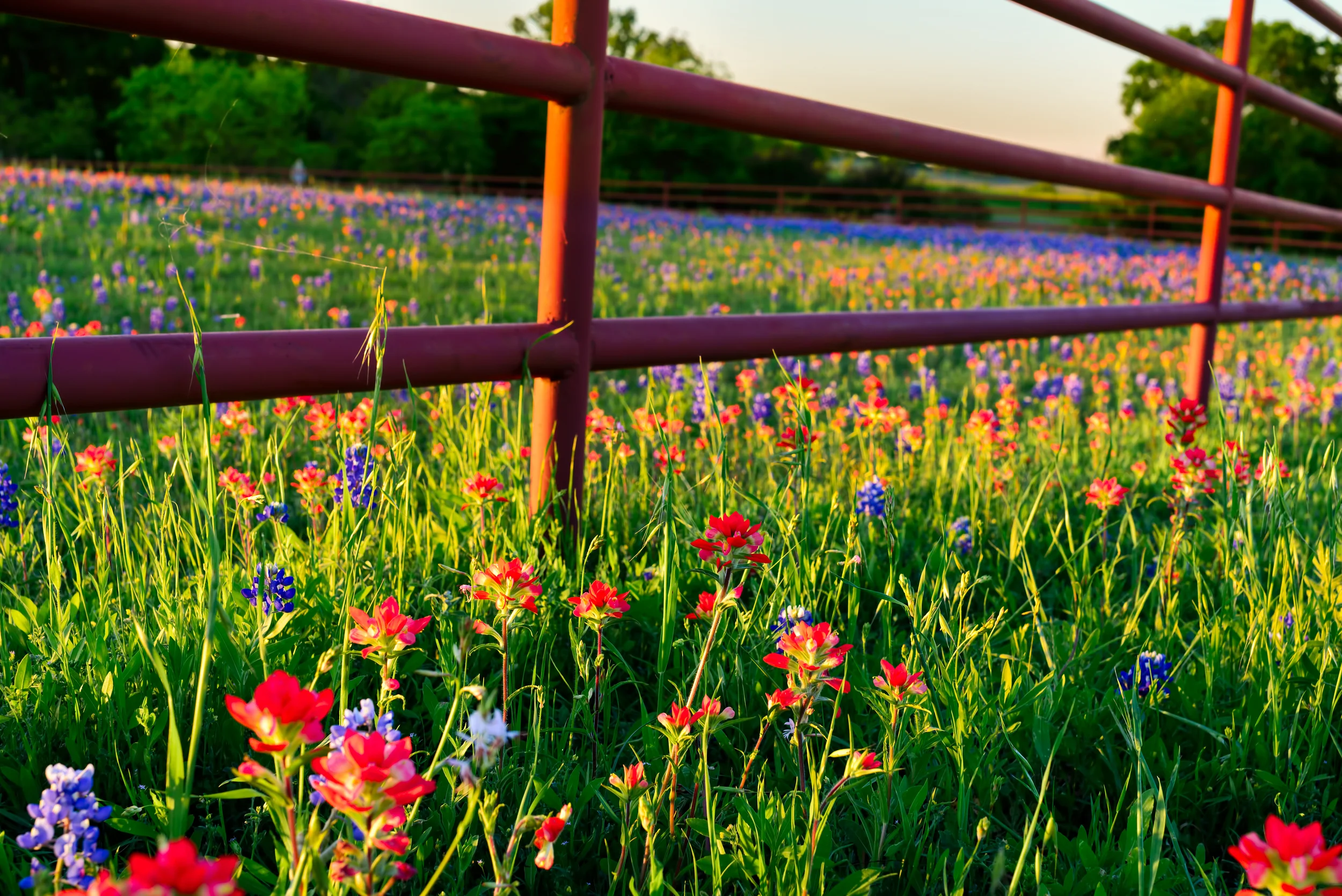 If Northeast Texas were a state, it would rank 45th in mortality rates, new report shows